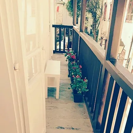 Camino De Estrellas Lugo